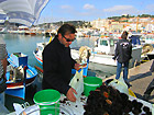 vente oursins cassis